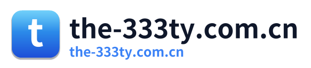 the-333ty.com.cn